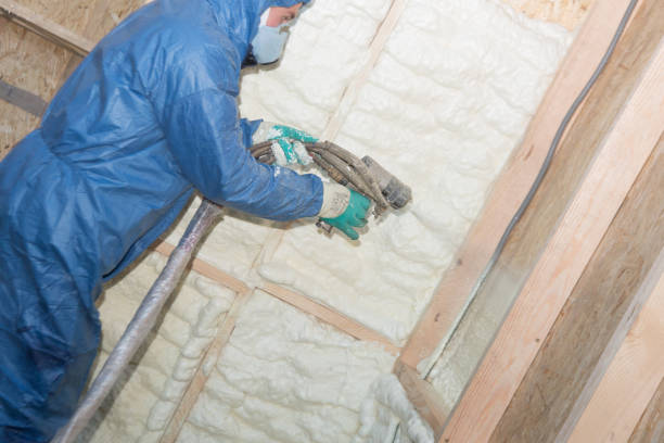 Types of Insulation We Offer in Kendall, FL